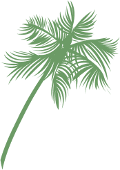 shape-image